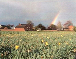 Swineshead History Lincolnshire Places Photo 8