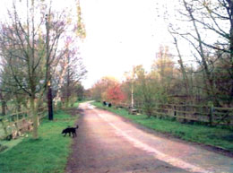 Swineshead History Lincolnshire Places Photo 7