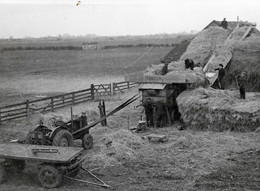 Swineshead Threshing 01